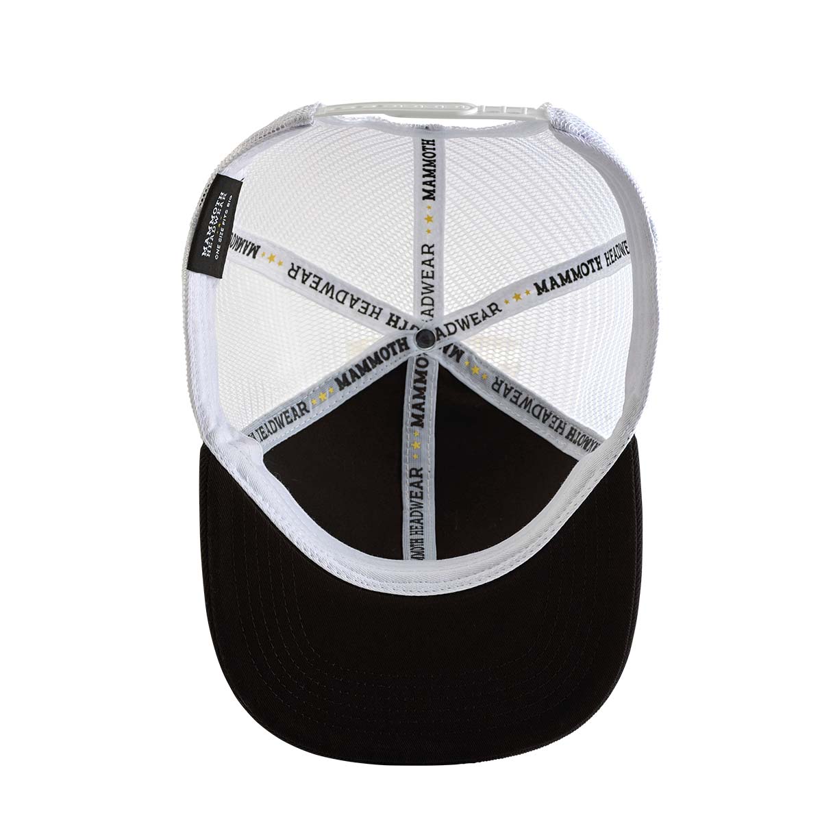 Blank Trucker - Panda